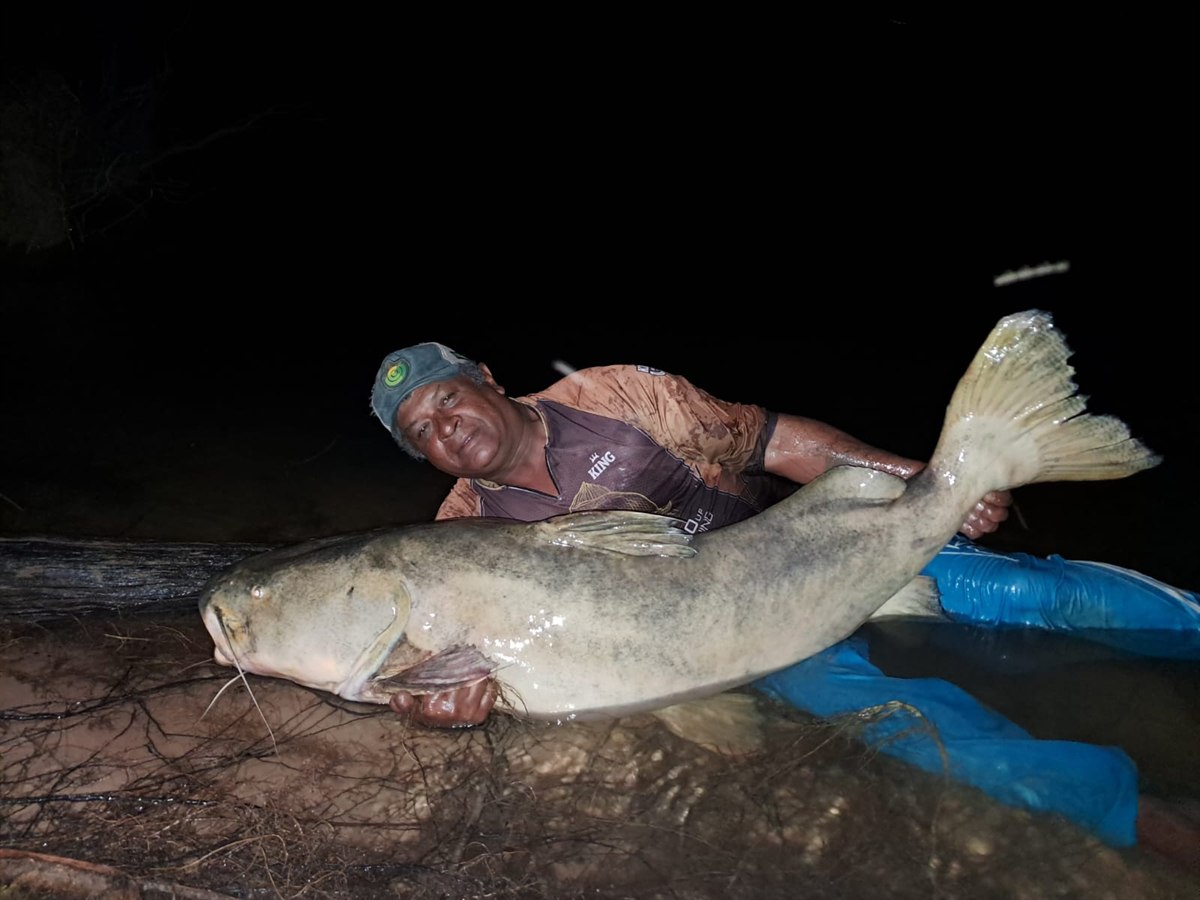 Grande peixe de couro capturado durante pescaria noturna