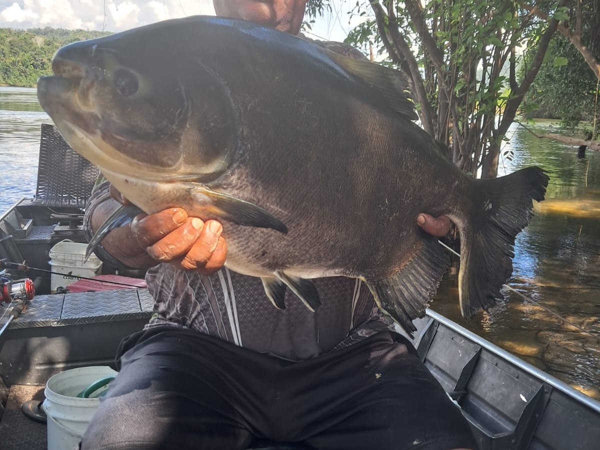 Pescador exibindo uma grande captura no barco
