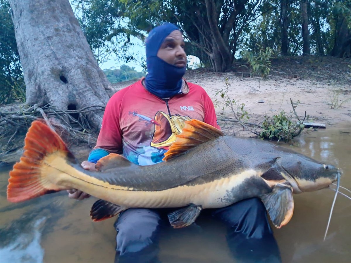 Pescador segurando uma grande pirarara