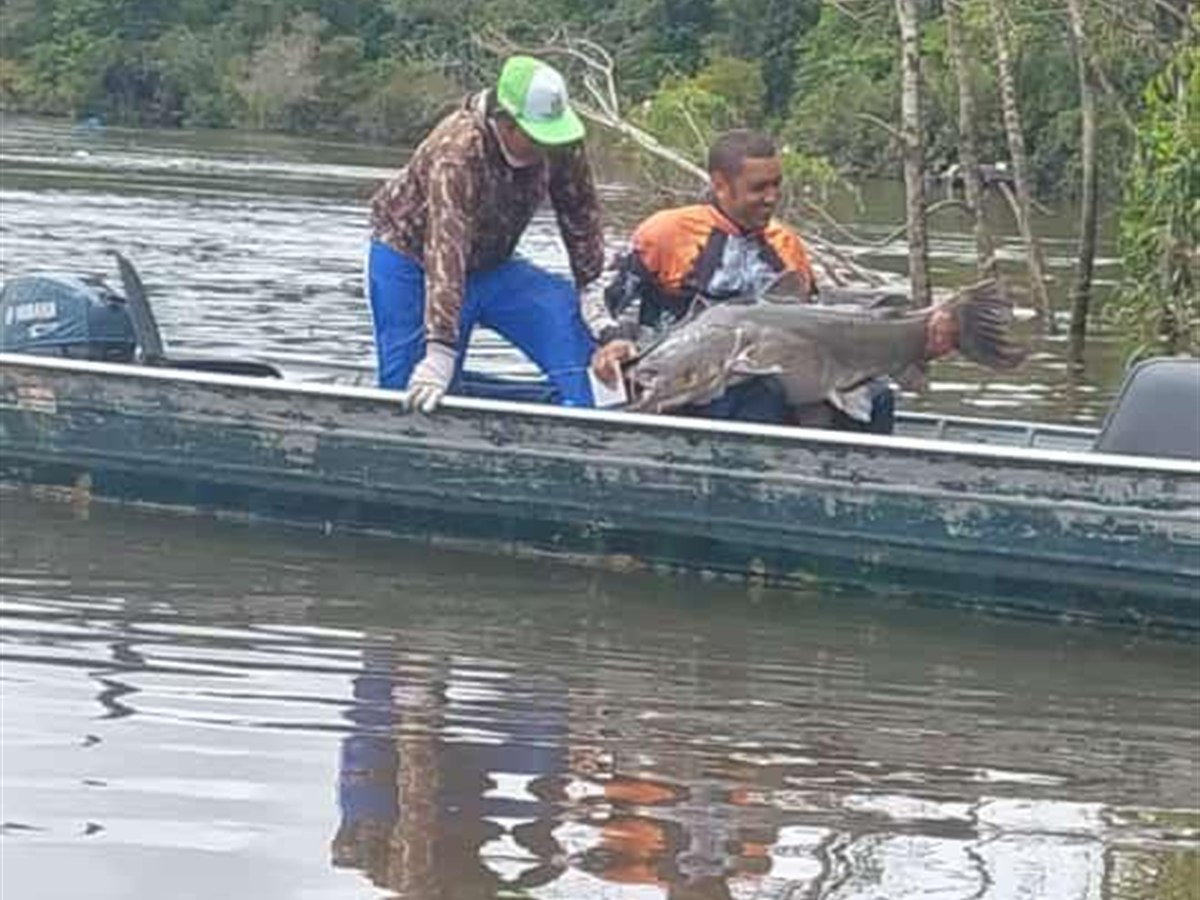 Barco de pesca em trecho preservado do Rio Teles Pires